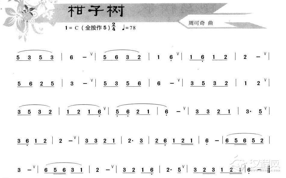 葫芦丝小乐曲【柑子树】