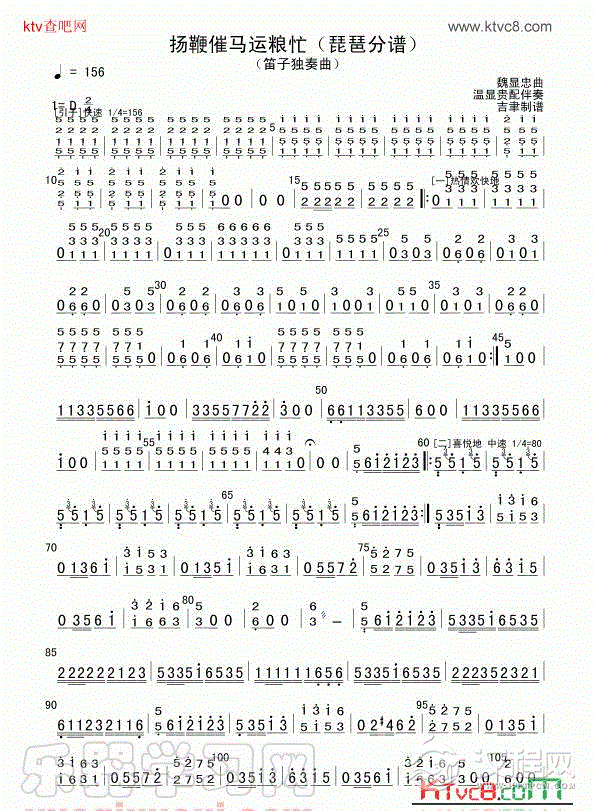 扬鞭催马运粮忙（琵琶分谱）