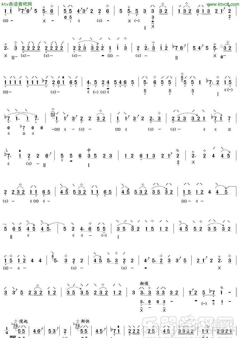 寒鸦戏水(琵琶谱)