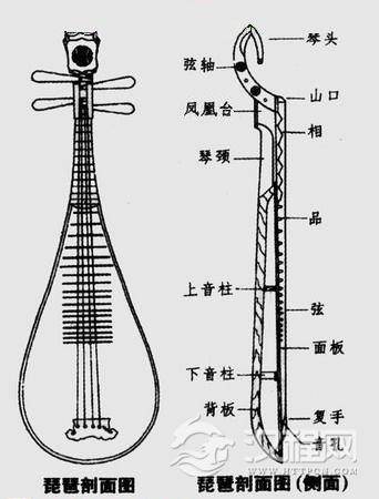 琵琶构造图文详解