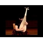 琵琶演奏家杨靖简介