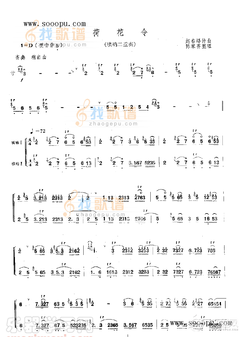 荷花令 民乐类 唢呐