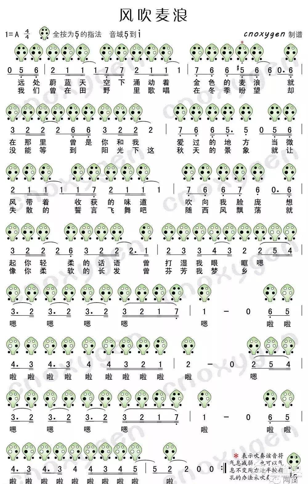 六孔陶笛《风吹麦浪》附指法图