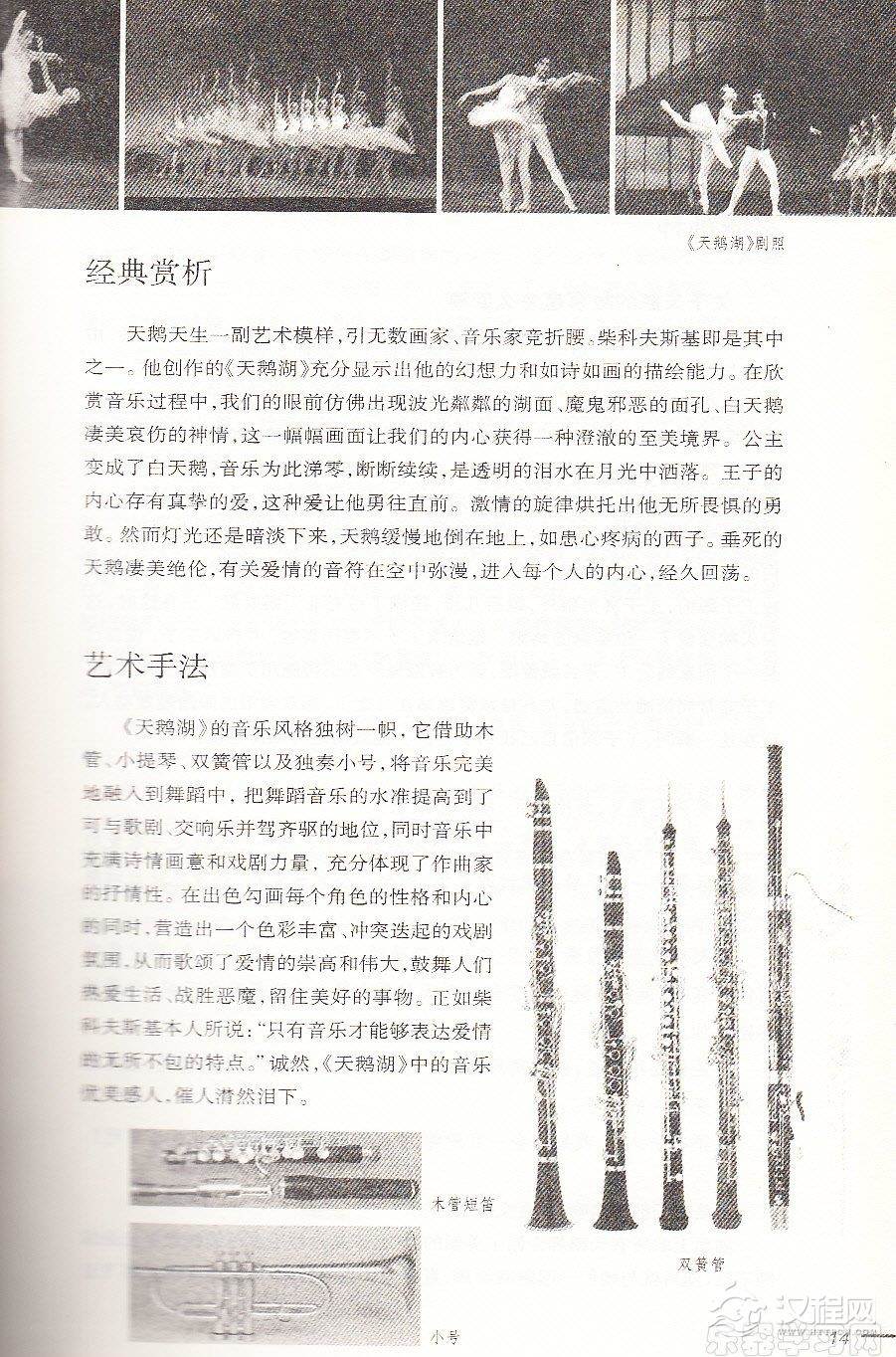 【名曲】《天鹅湖》背后的古老神话