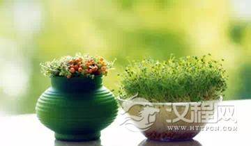 不急不争宽心做人