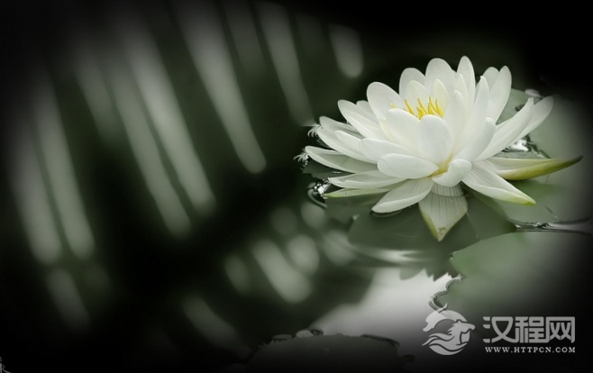 低调，是一种高贵的平和