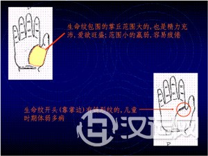 手掌纹与健康，看手掌纹知健康