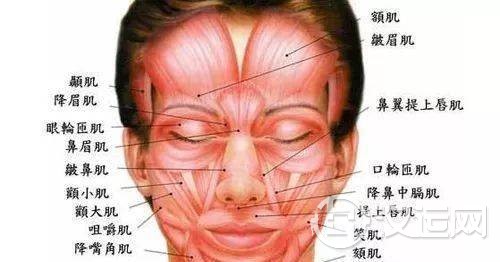 命带麒麟骨好不好 几月出生的人拥有麒麟骨