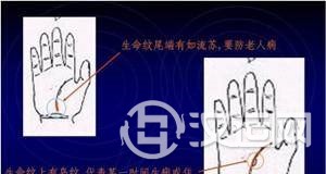 手掌纹与健康，看手掌纹知健康