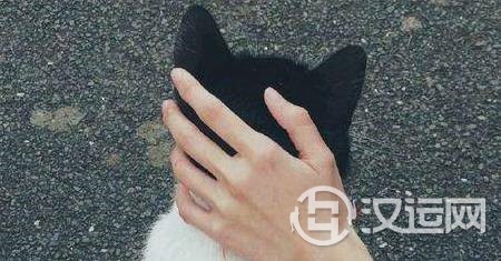 如何透过感情线看你的姻缘