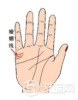 婚姻线末端分叉易婚变