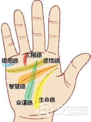 手相反应你的婚姻