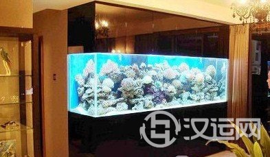 鱼缸风水：客厅的鱼缸旺宅