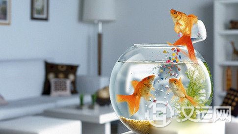 养鱼风水、客厅养鱼家居风水布局
