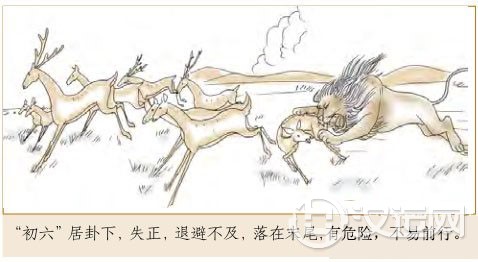 遁卦第一爻，爻辞：初六：遁尾；厉。勿用有攸