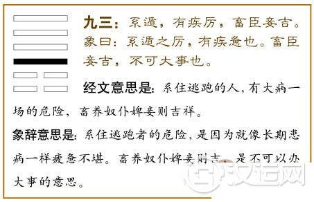 遁卦第三爻，爻辞：九三：系遁，有疾厉，畜臣妾，吉。