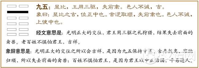 比卦第五爻，爻辞：九五：显比;王用三驱，失前禽，邑人不诫，吉。