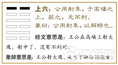 解卦第六爻，爻辞：上六：公用射隼于高墉之上，获之，无不利。