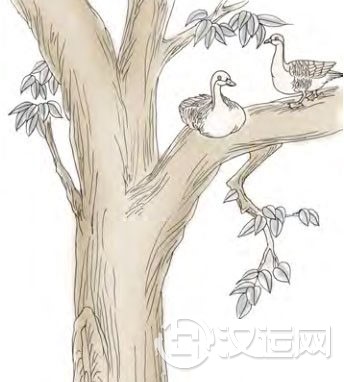 渐卦第四爻，爻辞：六四：鸿渐于木，或得其桷