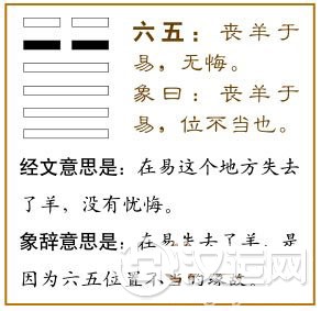 大壮卦第五爻，爻辞：六五：丧羊于易，无悔。