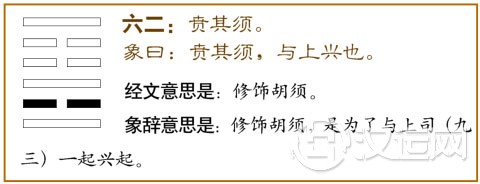 六二：贲其须。