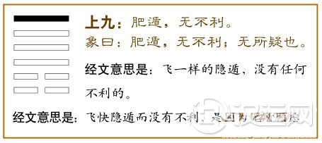 遁卦第六爻,爻辞:上九:肥遁无不利。