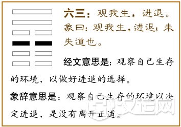六三：观我生，进退。