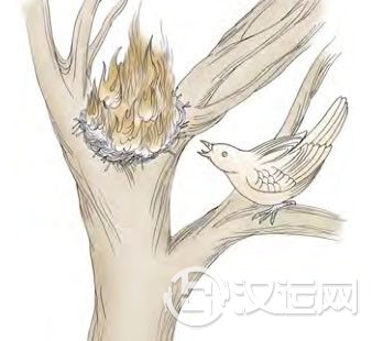 旅卦第六爻，爻辞：上九：鸟焚其巢，旅人先笑