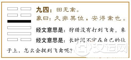 恒卦第四爻，爻辞：九四：田无禽。
