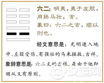 明夷卦第二爻，爻辞：六二：明夷，夷于左股，用拯马壮，吉。爻辞释义