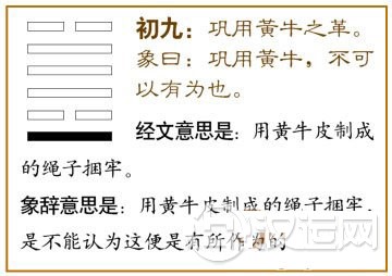 革卦第一爻,爻辞:初九:巩用黄牛之革。
