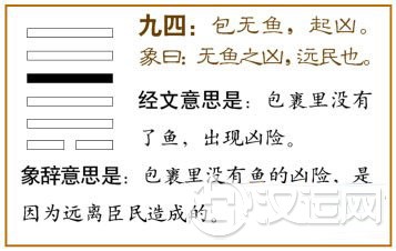 姤卦第四爻,爻辞:九四:包无鱼,起凶。