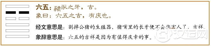 大畜卦第五爻,爻辞:六五:豮豕之牙,吉。