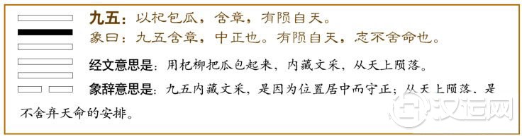 姤卦第五爻，爻辞：九五：以杞包瓜，含章，有陨自天。