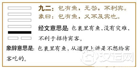 姤卦第二爻，爻辞：九二：包有鱼，无咎；不利宾。