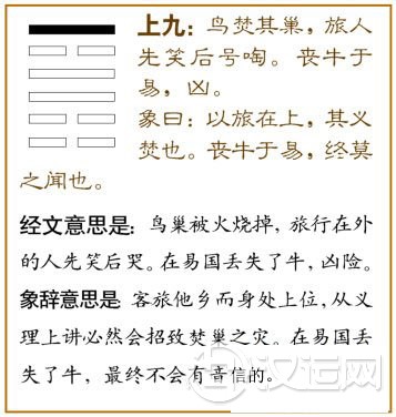 旅卦第六爻，爻辞：上九：鸟焚其巢，旅人先笑，后号眺；丧牛于易，凶。