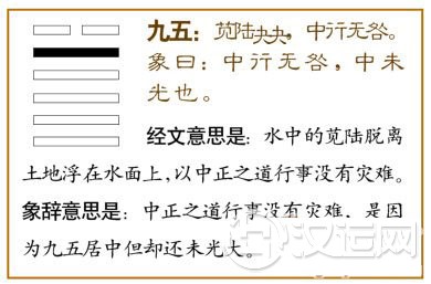 夬卦第五爻,爻辞:九五:苋陆夬夬,中行无咎。