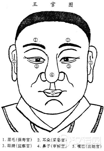 面相学：五官图总论，五官看命运