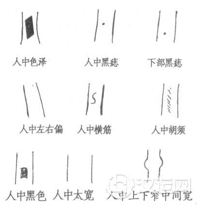面相人中种类