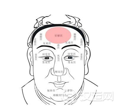 额头看相图解