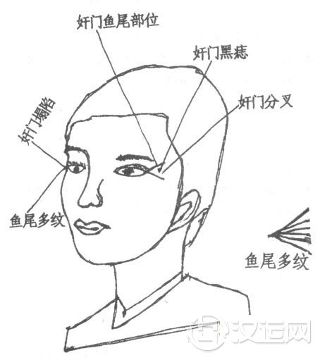 面相图解鱼尾、奸门相法绝学