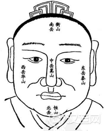 面相五岳观法，五岳与面相