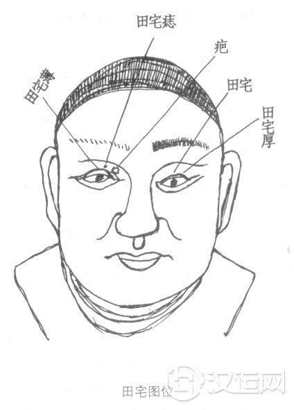 面相图解：田宅宫，田宅相法绝学