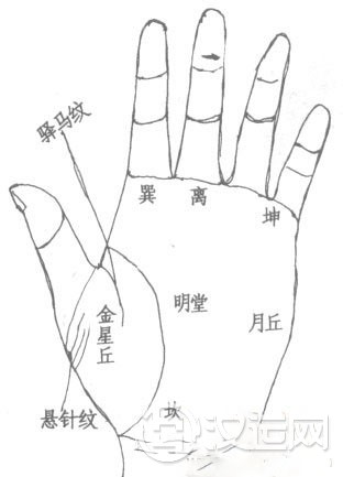 手相坤宫算命：太阳丘的相法绝招