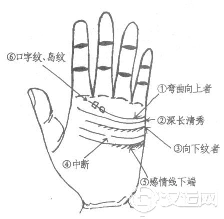 感情线图解、手相感情线分叉图解