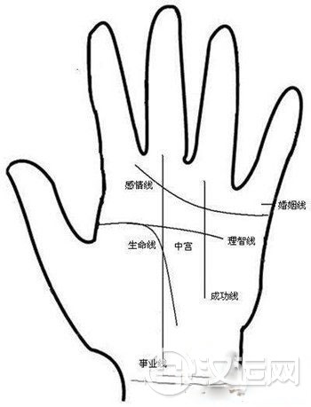 观察手相图解，首先要观察四条线