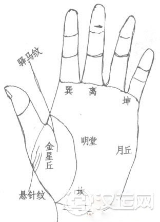 手相巽宫算命：木星丘的相法绝招