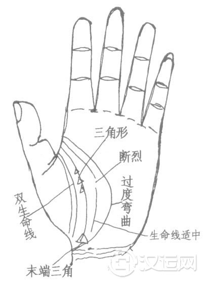 手堂生命线断开、岛纹、三角纹，手上的生命线准吗