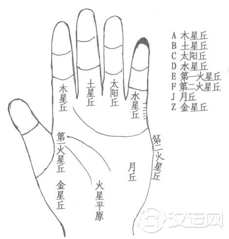 手相土星丘，手掌中的土星丘