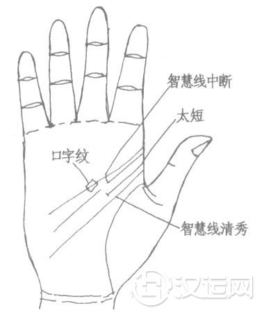 智慧线图解：智慧线分叉、智慧线末端分叉断开